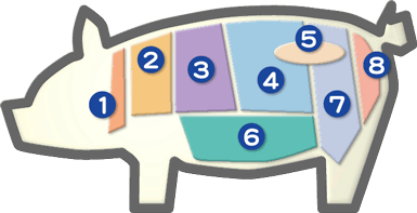 豚肉の部位配地図